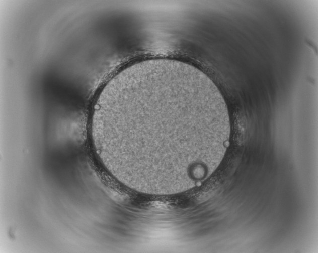 X0000103900496200810031152