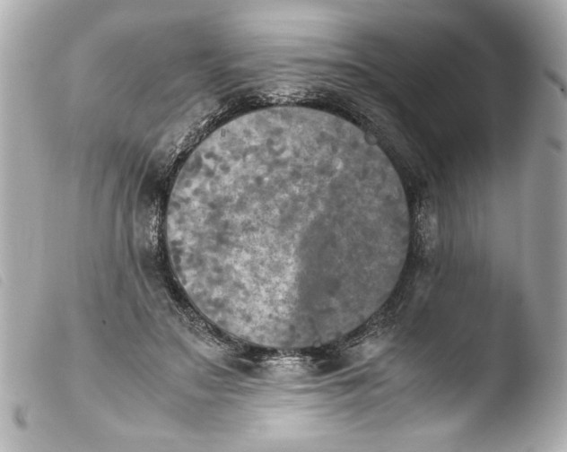 X0000103900499200810031152