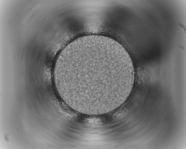 X0000103900500200810031152