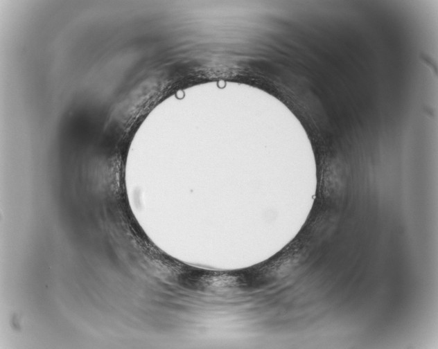 X0000103900501200810031152