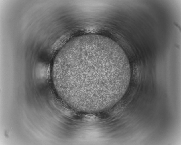 X0000103900502200810031152