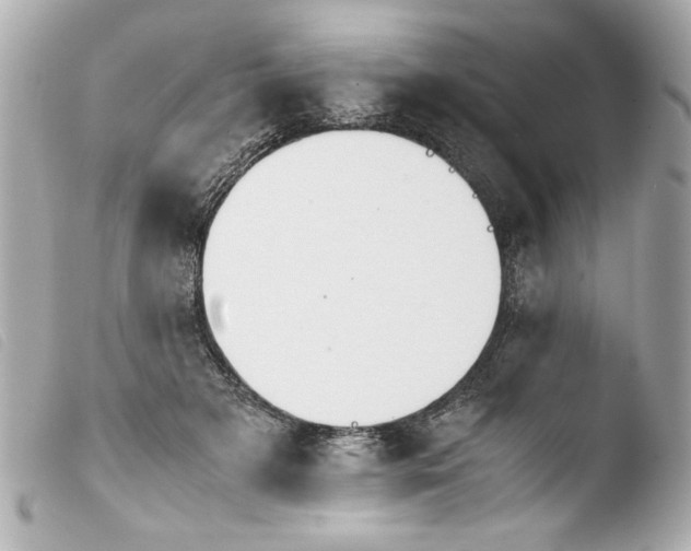 X0000103900505200810031152