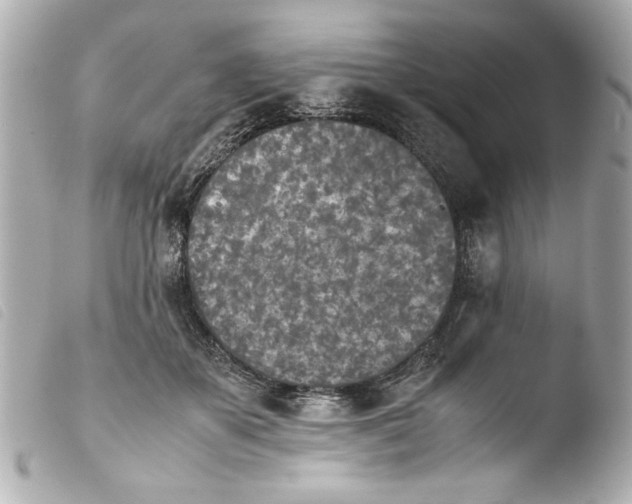 X0000103900507200810031152