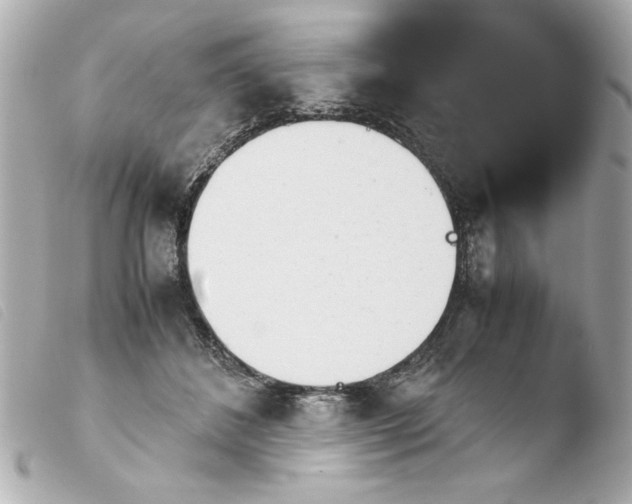 X0000103900508200810031152