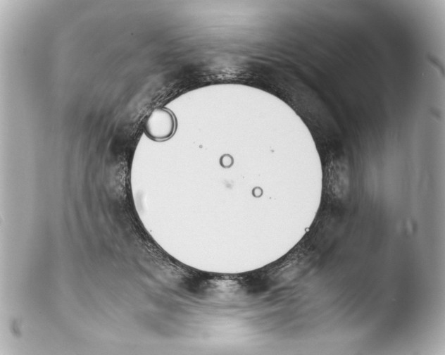 X0000103900509200810031152