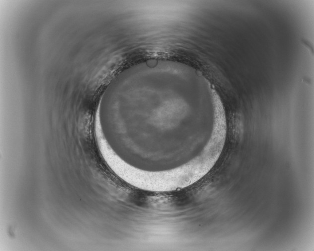 X0000103900511200810031152