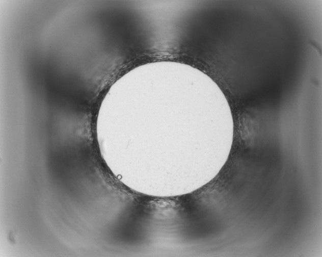 X0000103900512200810031152