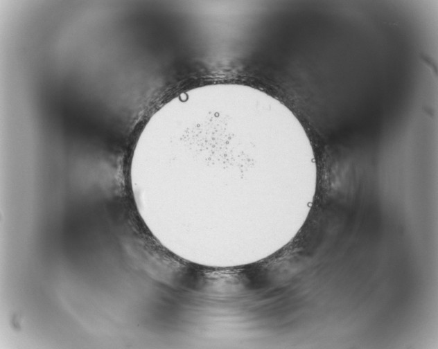 X0000103900516200810031152