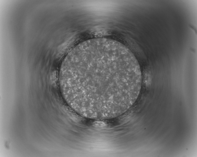 X0000103900519200810031152