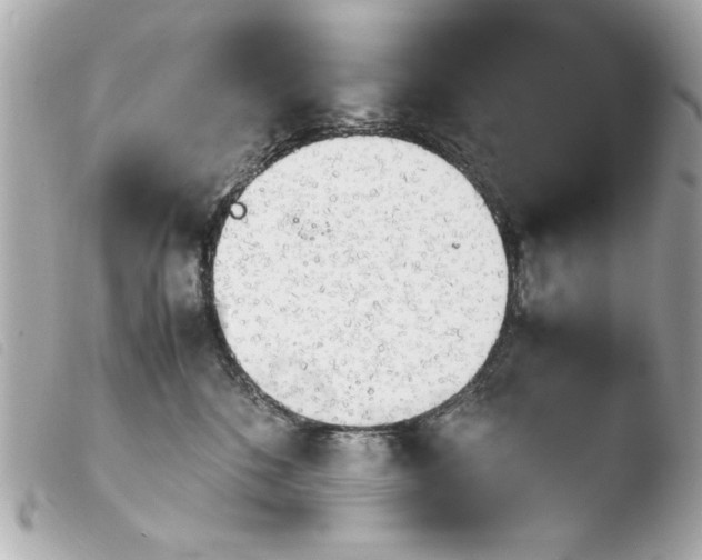 X0000103900520200810031152