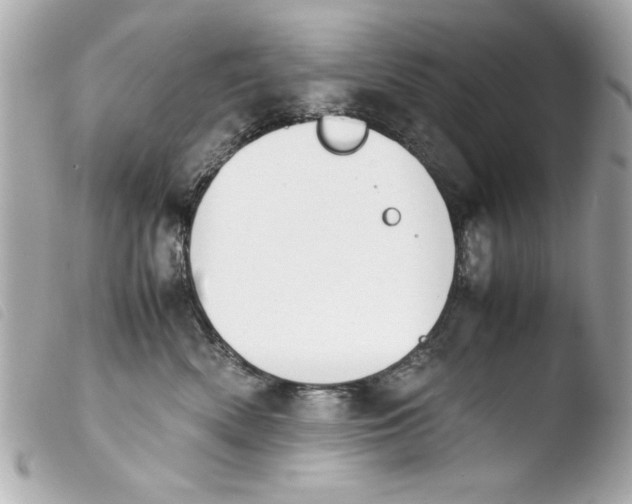 X0000103900522200810031152