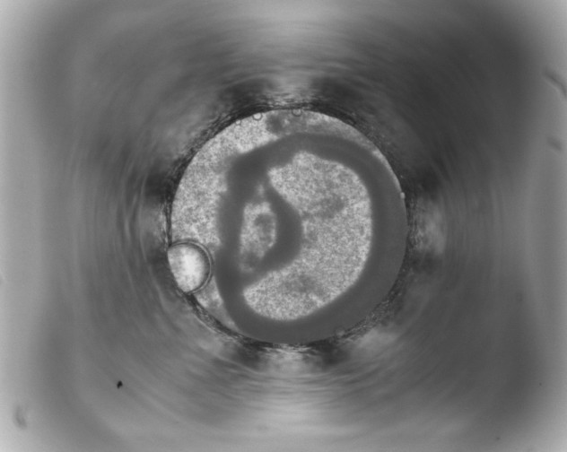 X0000103900523200810031152