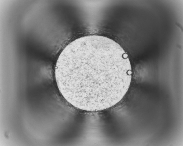 X0000103900524200810031152