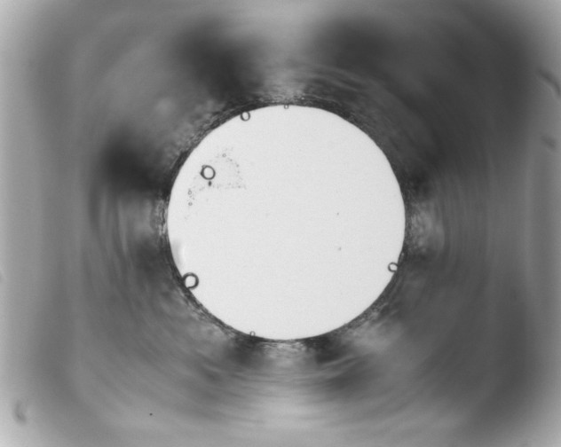 X0000103900525200810031152