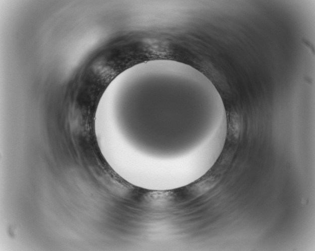 X0000103900526200810031152