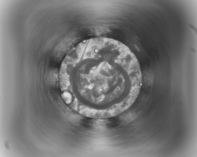 X0000103900527200810031152