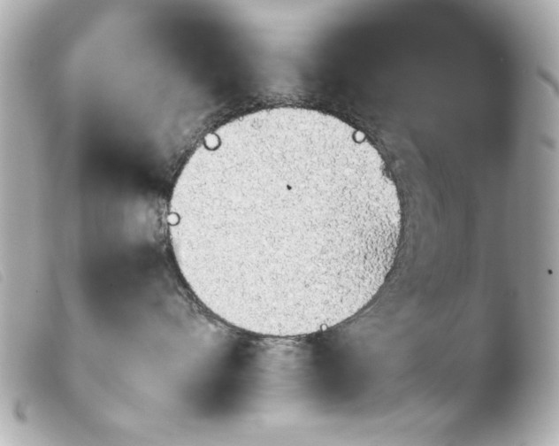 X0000103900528200810031152