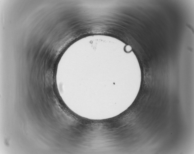 X0000103900530200810031151