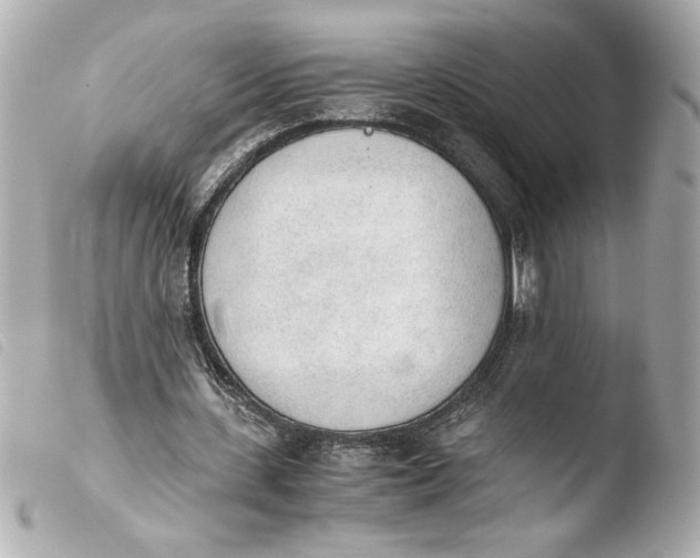 X0000103900531200810031151