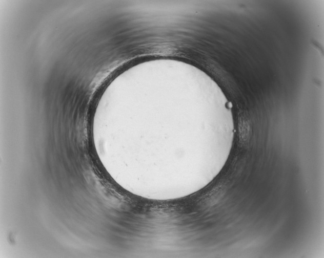 X0000103900532200810031151