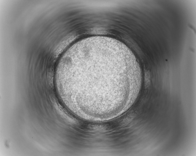 X0000103900533200810031151