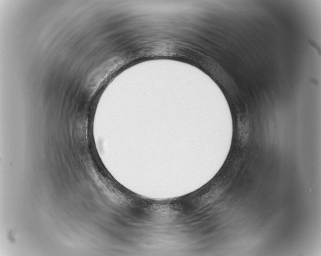 X0000103900534200810031151