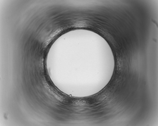 X0000103900535200810031151