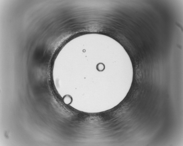 X0000103900536200810031151