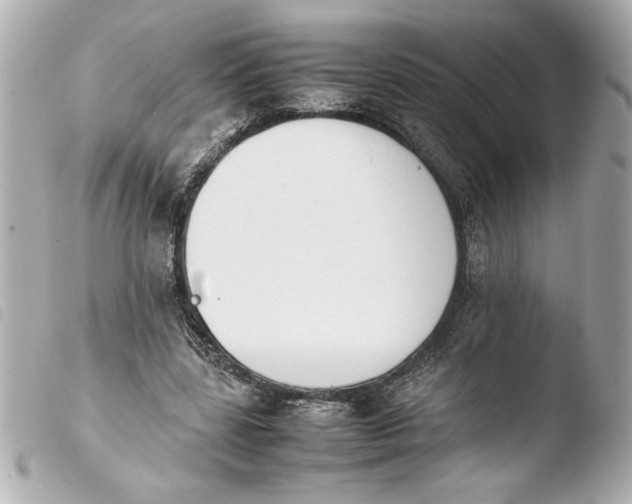 X0000103900539200810031151