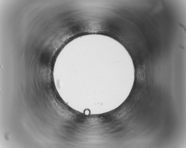 X0000103900540200810031151