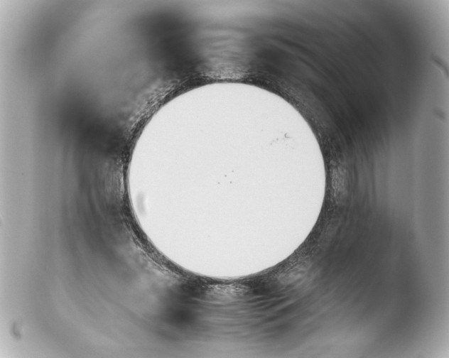 X0000103900541200810031151