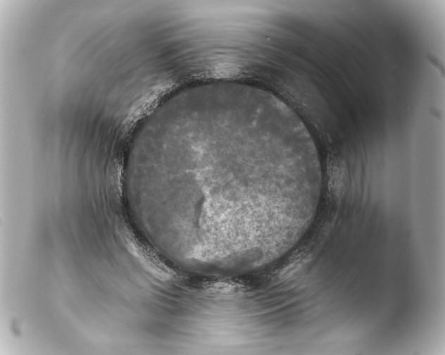 X0000103900542200810031151