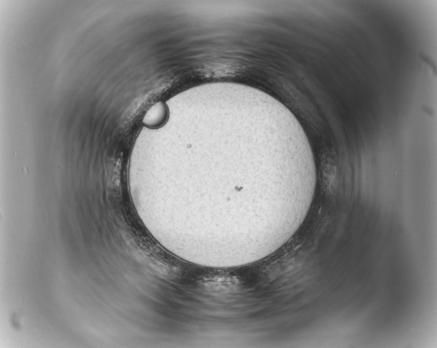 X0000103900543200810031151