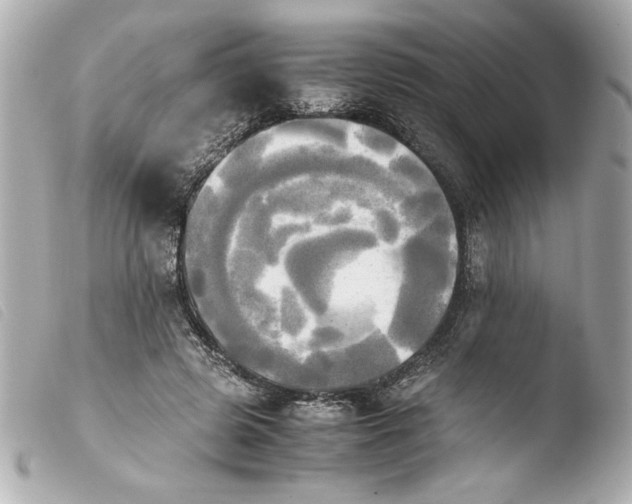 X0000103900545200810031151