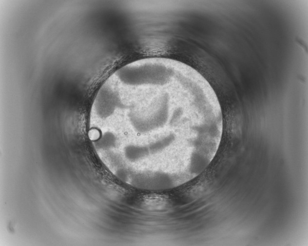 X0000103900549200810031151