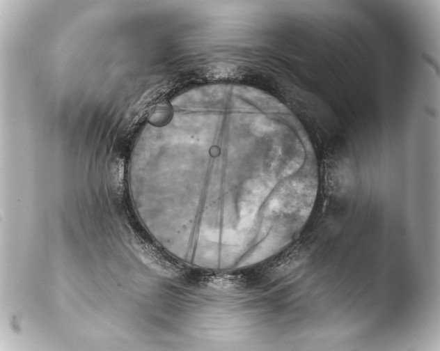 X0000103900550200810031151