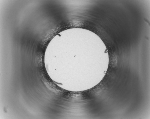 X0000103900552200810031151