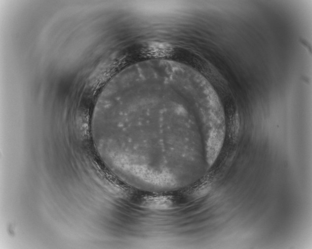 X0000103900553200810031151