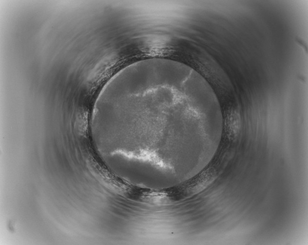 X0000103900554200810031151