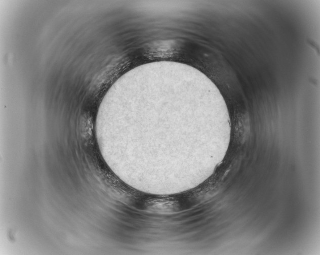 X0000103900555200810031151