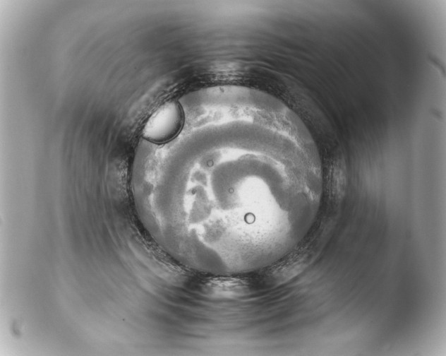 X0000103900557200810031151