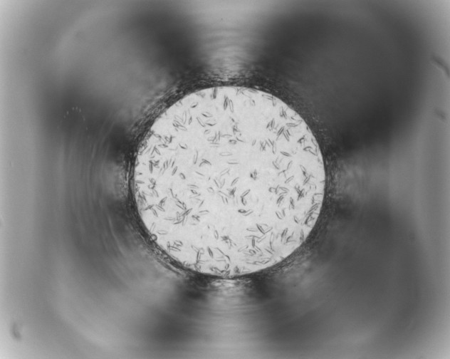 X0000103900558200810031152