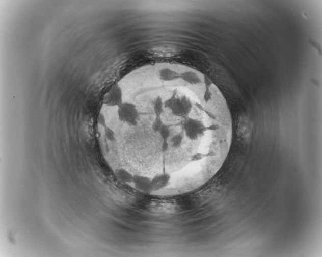 X0000103900559200810031152