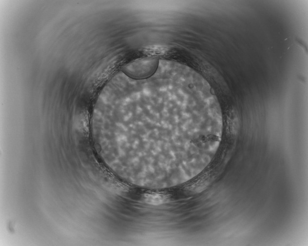 X0000103900561200810031152