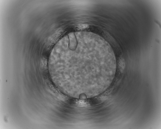 X0000103900565200810031152