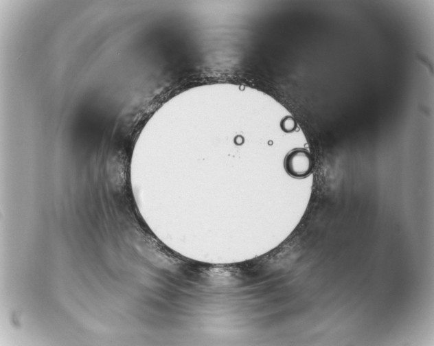 X0000103900566200810031152