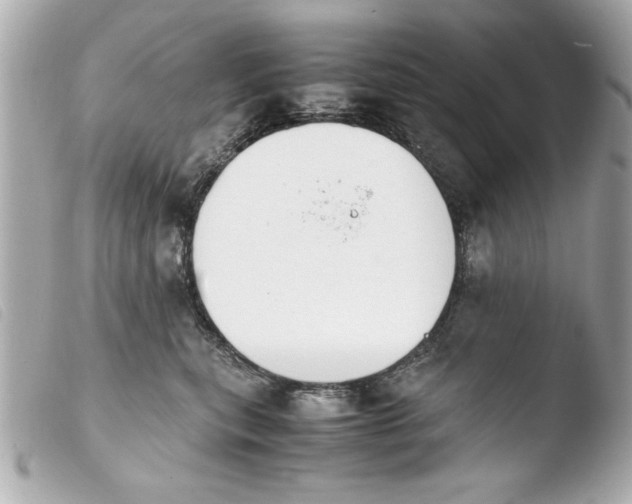 X0000103900567200810031152