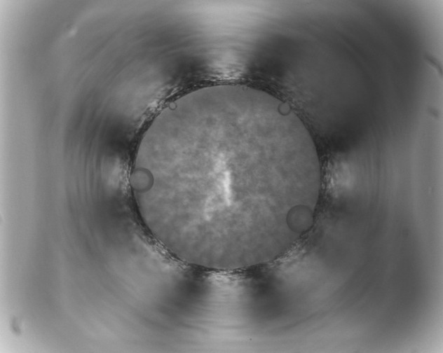 X0000103900568200810031152