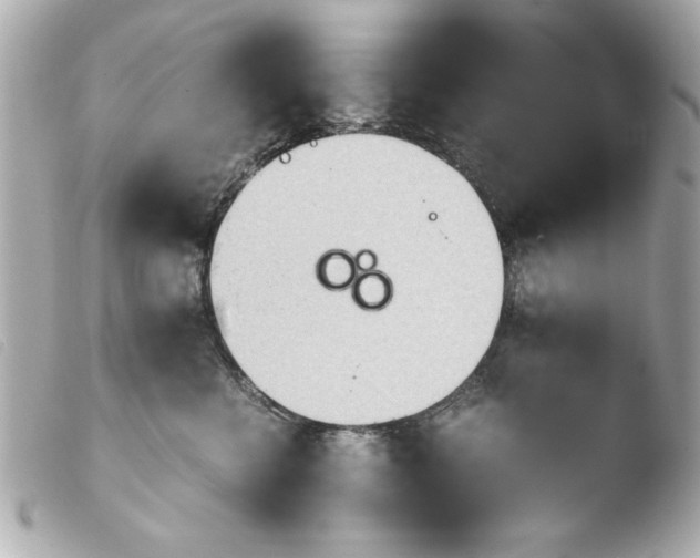 X0000103900570200810031152