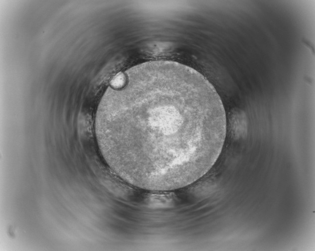 X0000103900571200810031152